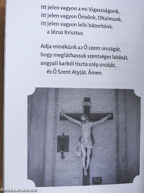 Barátunk és táplálékunk