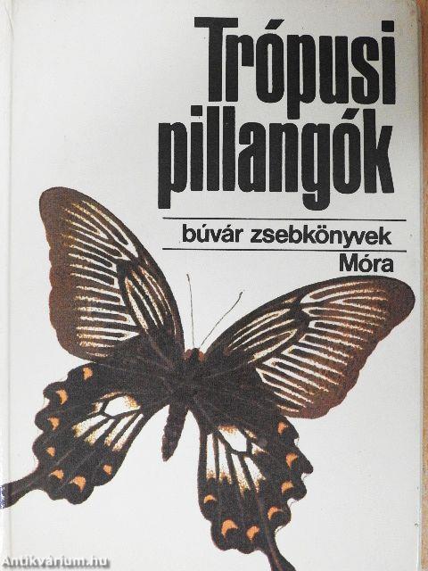 Trópusi pillangók