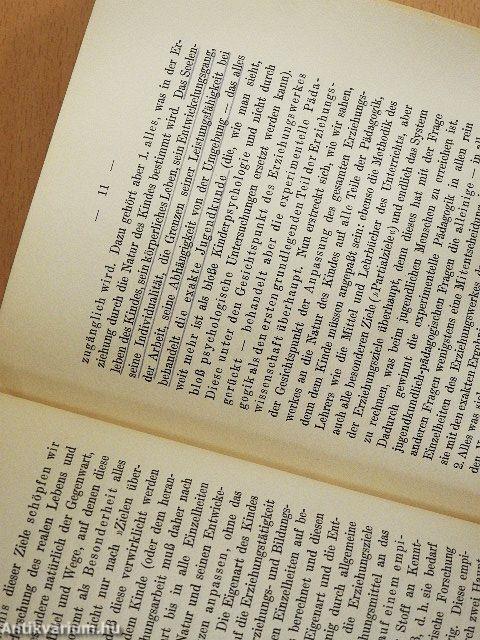 Abriss der Experimentellen Pädagogik