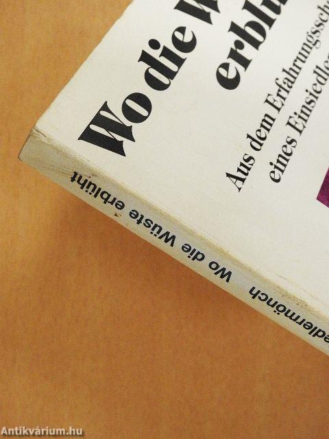 Wo die Wüste erblüht