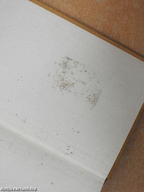 Lengyel-magyar szótár