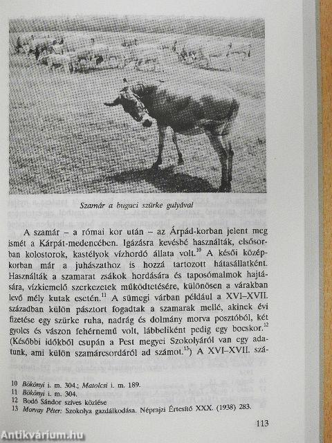 Huszonegy néprajzi közlemény