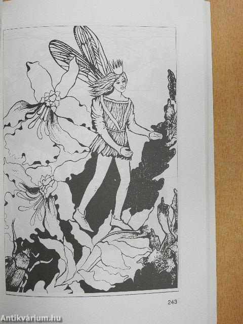 Múzeumi levelek 71-72.