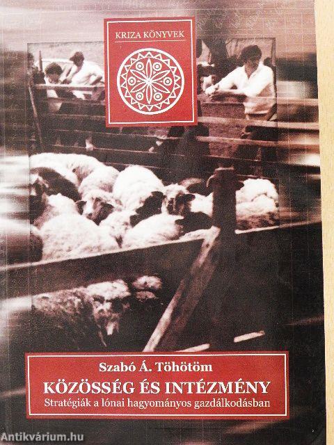 Közösség és intézmény