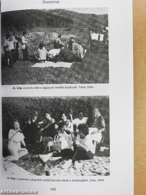 Közösség és intézmény