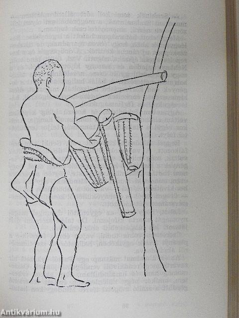 Nyolc év Kongó törpéi között