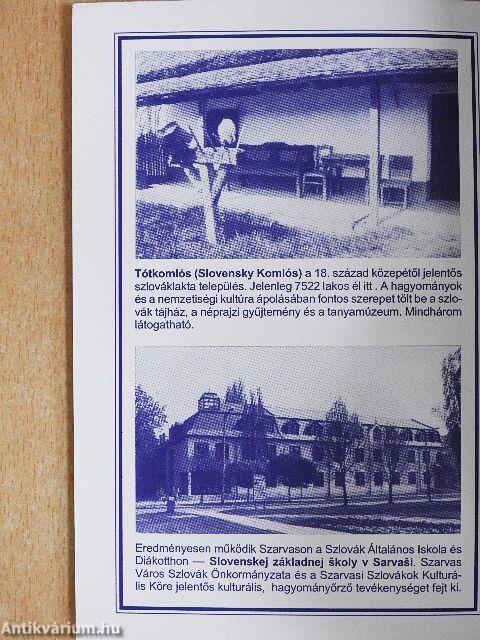 A magyarországi szlovákok