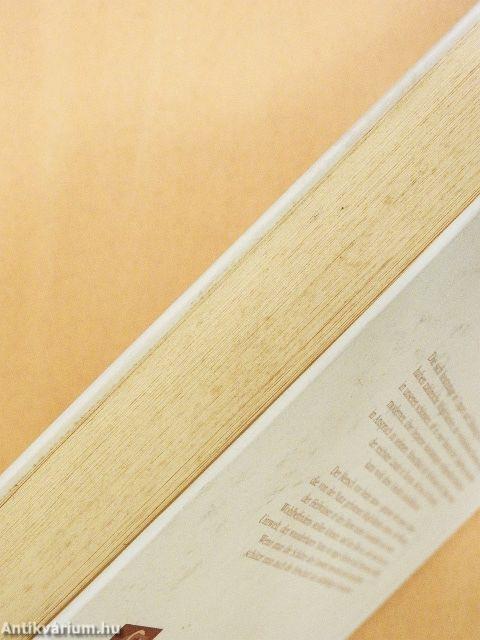 Magyarország gyógyító vizei