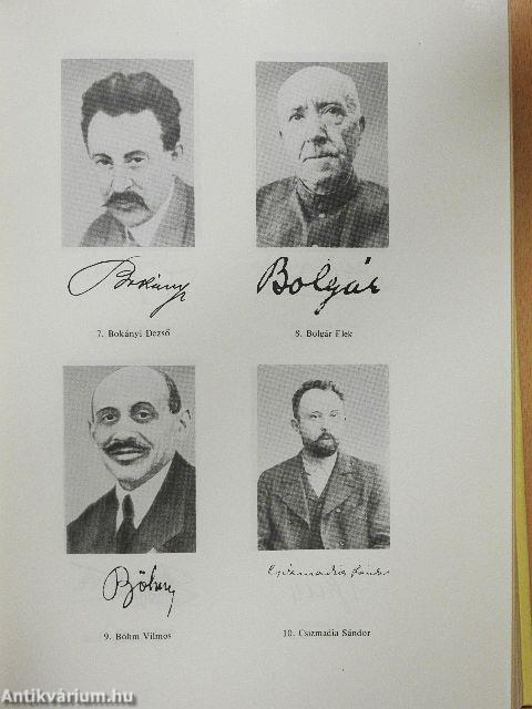 A forradalmi kormányzótanács jegyzőkönyvei 1919