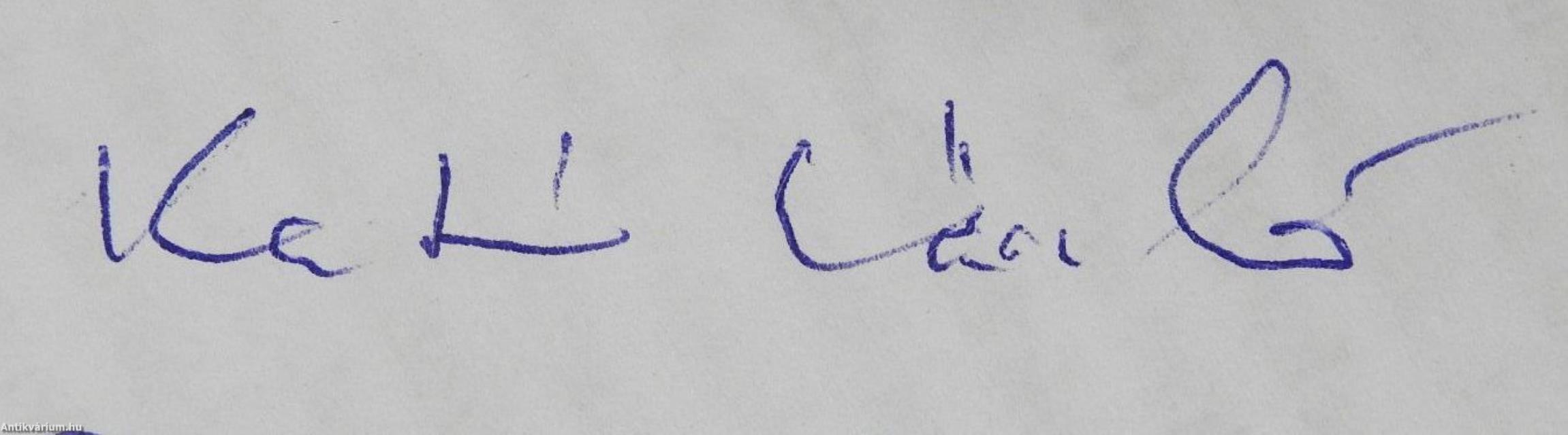 Eltékozolt szerelem (dedikált példány)