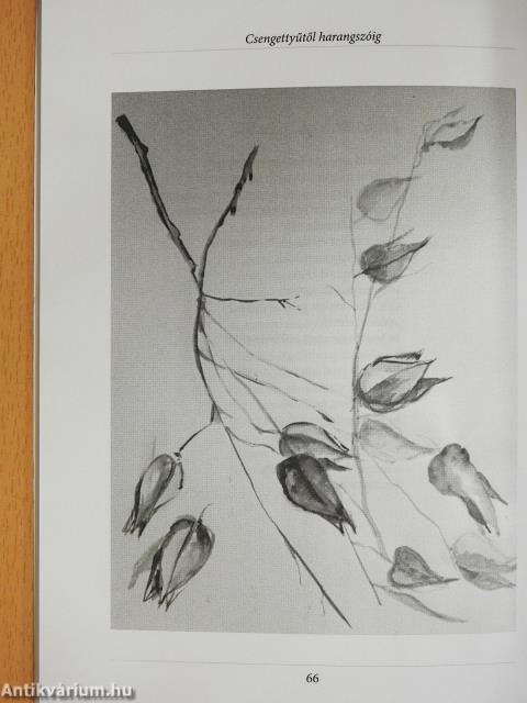 Csengettyűtől harangszóig (kétszeresen dedikált példány)