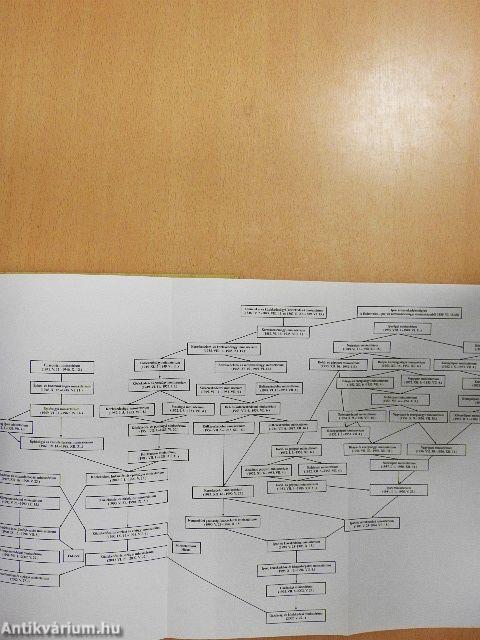 Magyarország kormányai 1848-2004.