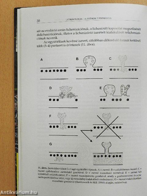 Lichenológia - a zuzmók tudománya