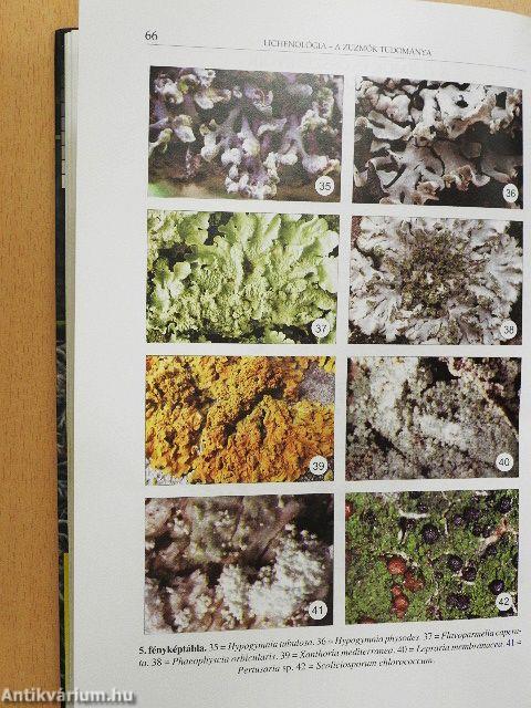 Lichenológia - a zuzmók tudománya