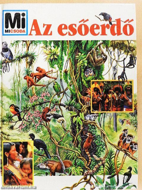Az esőerdő