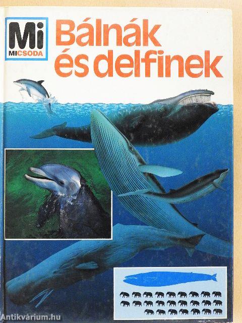 Bálnák és delfinek