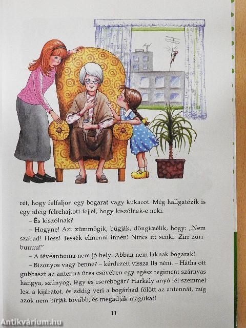 Pöttyös Panni - Harkály Anyó