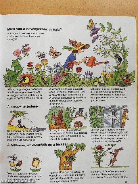 Park-Usborne enciklopédia gyermekeknek