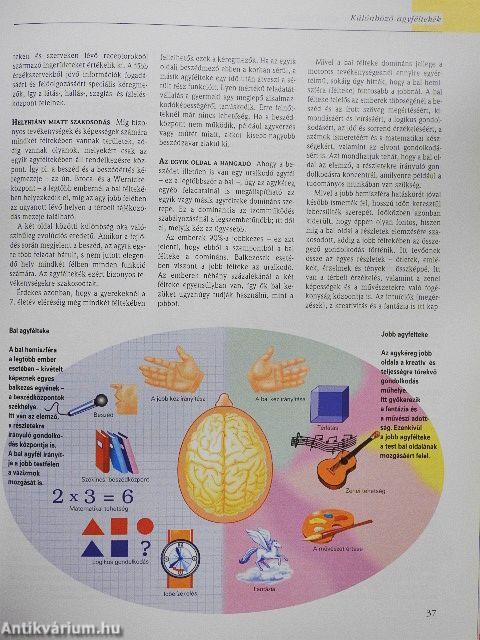 A csodálatos emberi test