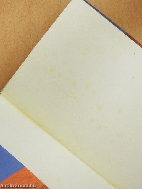 Júdás volt a nevem