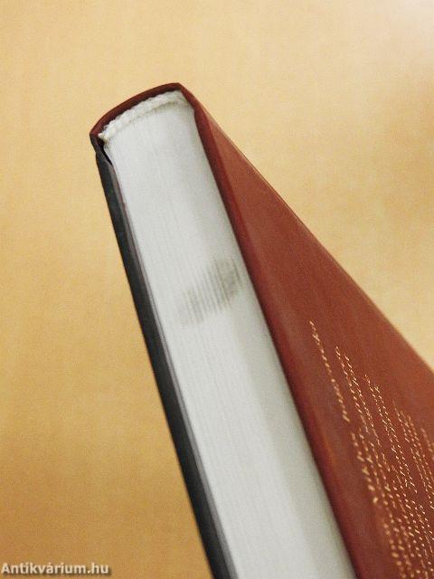 Nyomozok magam után