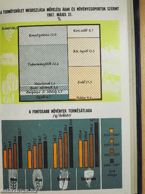 Magyar statisztikai zsebkönyv 1968.