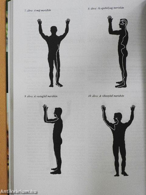 Az egészséges táplálkozás nagykönyve