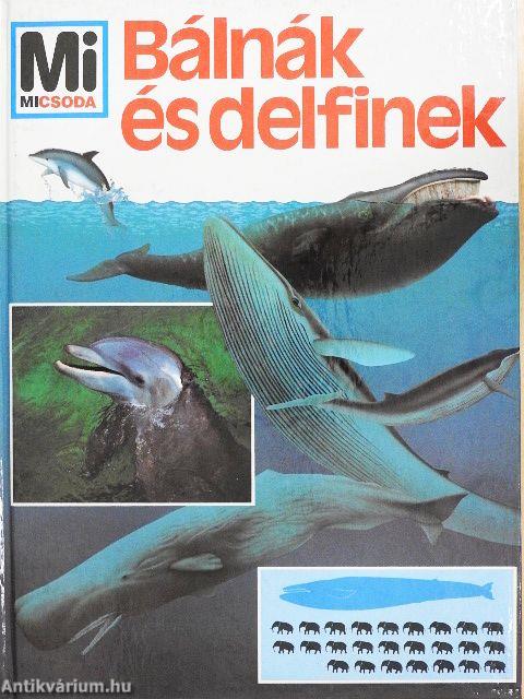 Bálnák és delfinek