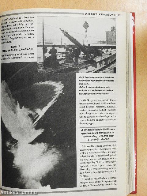 Küzdelem a győzelemért