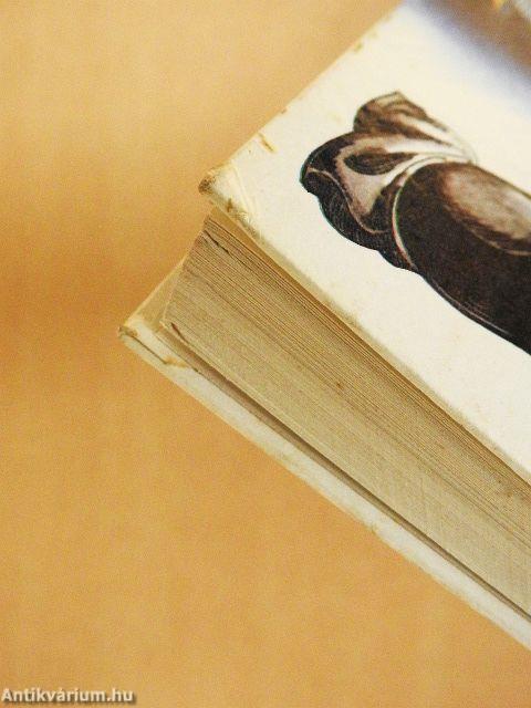 Nyomozom a detektívet