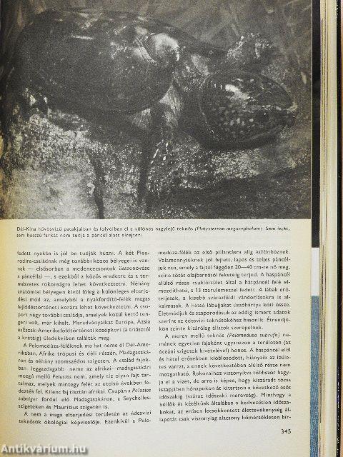 Urania Állatvilág - Halak/Kétéltűek/Hüllők