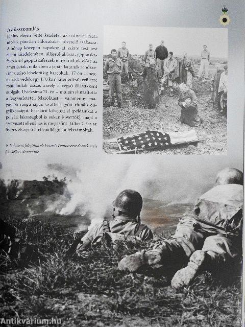 A tengelyhatalmak bukása