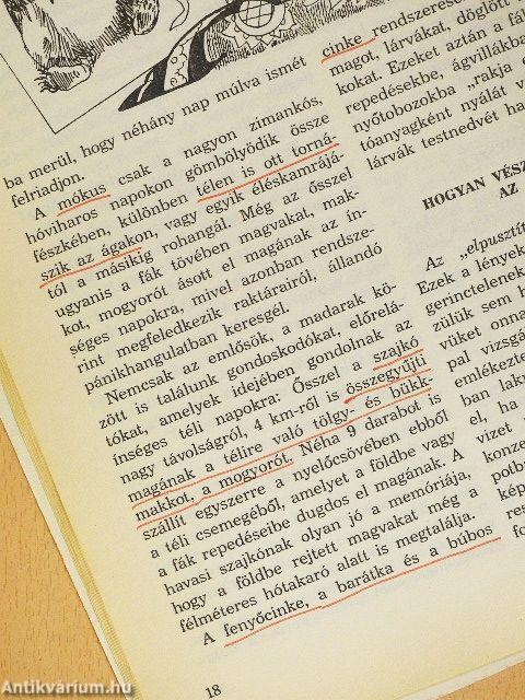 Csodálatos természet