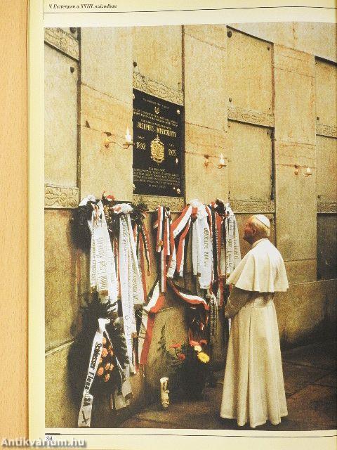 Szent István városa - Esztergom városunk története