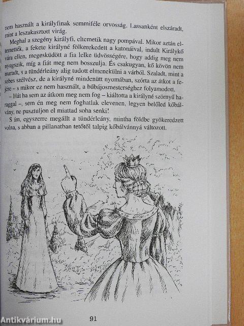 A kolozsvári bíró