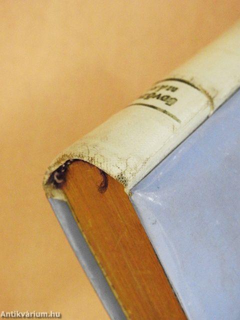 Üdvözlégy, Mária!