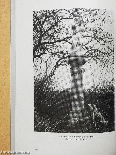 Somogy megye múltjából 1989.