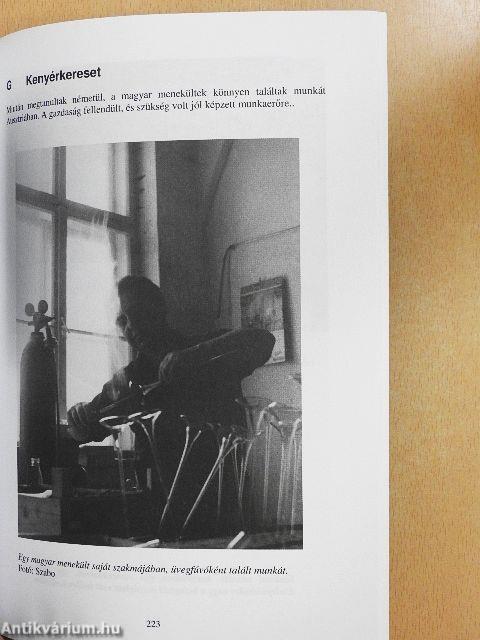 A forradalom és a magyar kérdés az ENSZ-ben