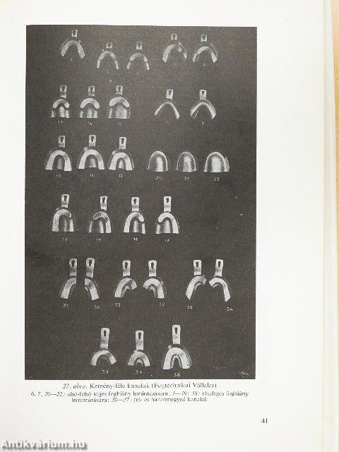 Bevezetés a fogpótlástanba