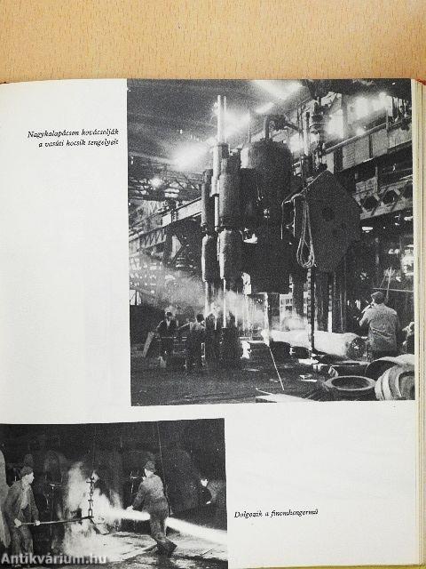 Az ezermester történelemkönyve