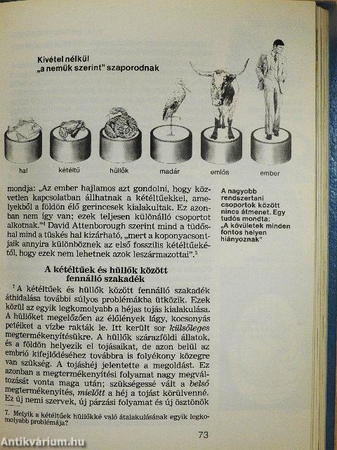 Az élet - hogyan jött létre?