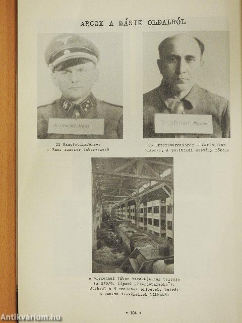 Auschwitzi jegyzőkönyv