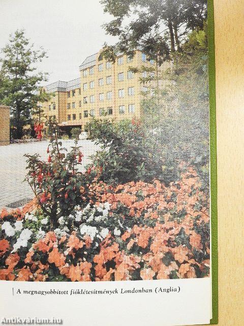 Jehova tanúi évkönyve 1994