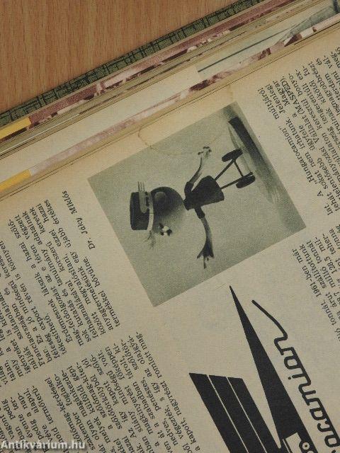 Természettudományi Közlöny 1967. január-december