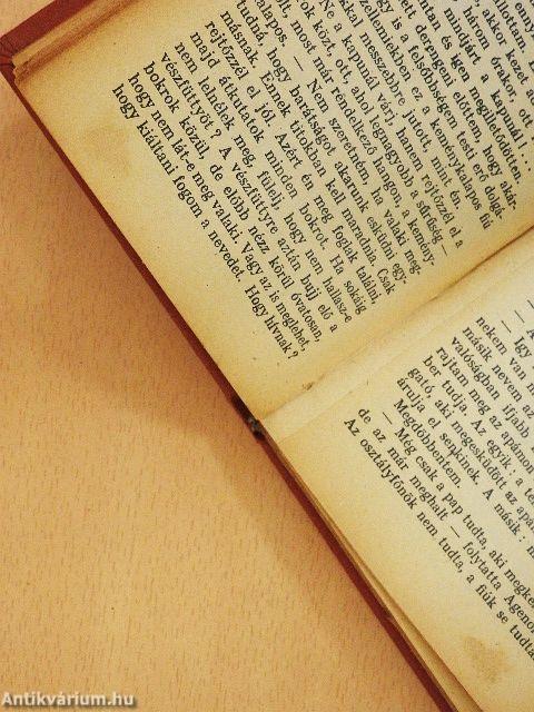 A tóparti gyilkosság