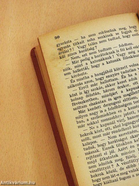 A tóparti gyilkosság