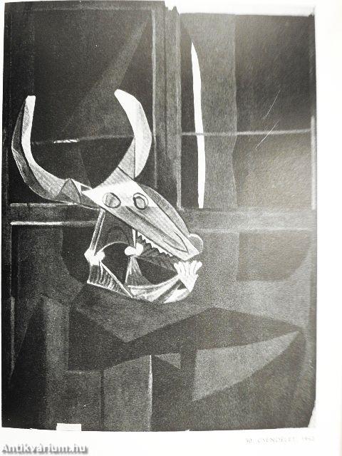 Picasso