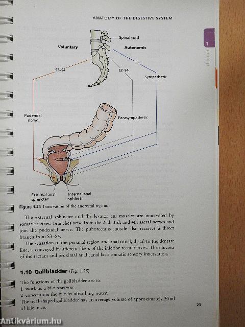 Practical Guide to Gastrointestinal Function Testing