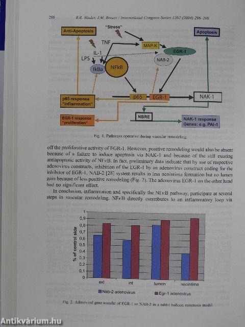 Atherosclerosis XIII