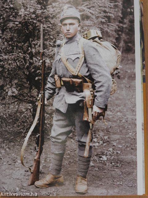 Magyar ezredek a Doberdó-fennsík védelmében